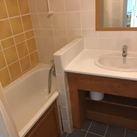 4 Personnes Avec Piscine, Wifi, Garage Besse-et-Saint-Anastaise